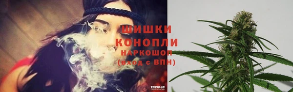 прущий лед Богородск