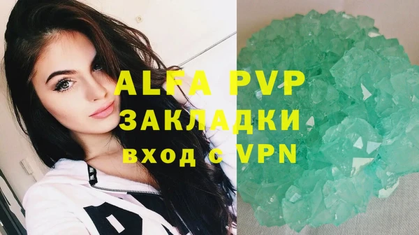 мяу мяу кристалл Богданович